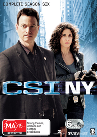 CSI: NY Season 6